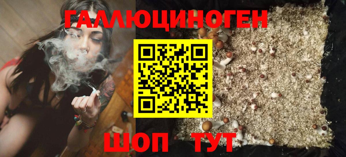 Кудрово  магазин  наркотиков  Вход с VPN  Псилоцибиновые грибы Magic Shrooms 