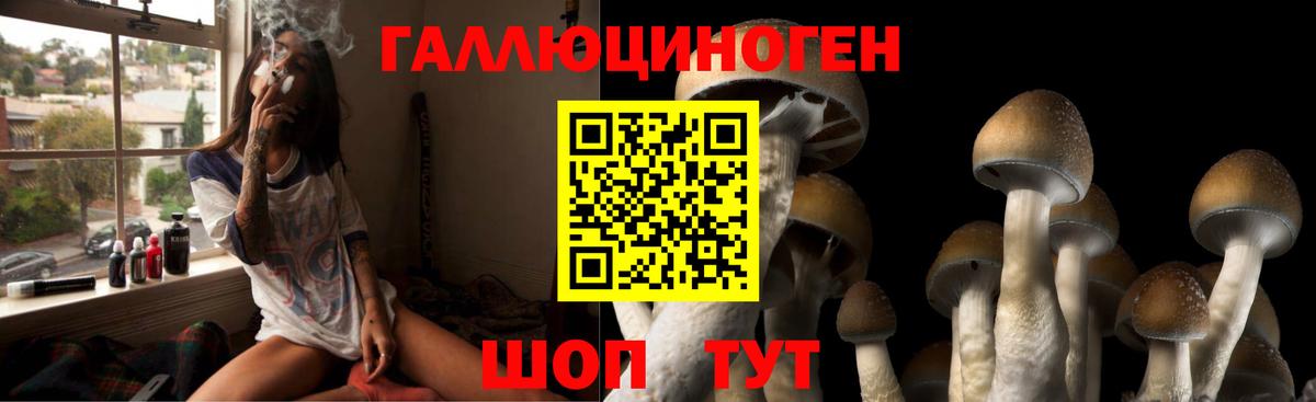 Псилоцибиновые грибы ЛСД Кудрово